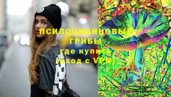 твердый Алексеевка