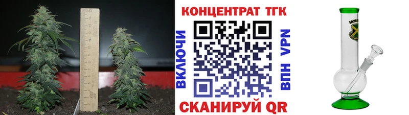 Купить  Вологда  ТГК концентрат 